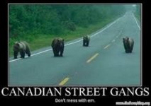 Canadian Street Gangs.jpg