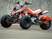 reverse-trike-zhejiang-atv.jpg