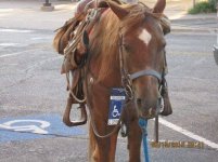 Handicapped Cowboy Parking.jpg