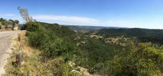 Photo Oct 18, 1 50 02 PM.jpg