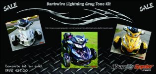 BARBWIRE LIGHTNING GRAY.jpg