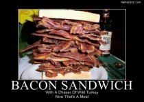 Almost enough bacon.jpg