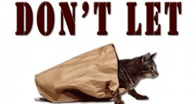 Cat out of the bag.jpg