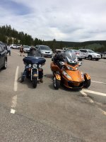 Spyder and Harley 1.jpg