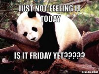 Is It Friday Yet.jpg