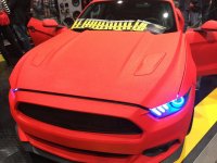 IMG_8556.jpg