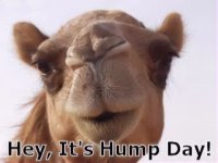 165739-Hey-Its-Hump-Day.jpg