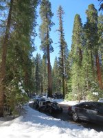 Long way home 029.jpg