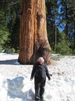 Long way home 034.jpg