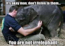 You Are Not Irrelephant.jpg