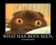 What Has Been Seen 02.jpg