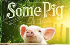 SomePig_zpsfe54594d.jpg