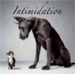 Intimidation-1.jpg