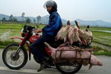 Carrying Enough Bacon With Me.jpg