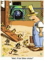 biker chicks.jpg