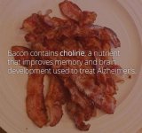 1 More bacon please.jpg