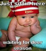 Waiting For Deer Season.jpg