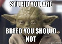 Yoda.jpg