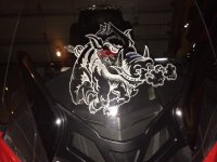 Hog windshield 1.jpg