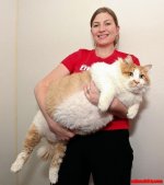 Giant Pussy.jpg