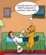 Not Playing with your Balls.jpg