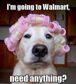 Walmart dog.jpeg