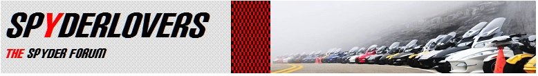 NY Event checkerboard no road from paint.jpg