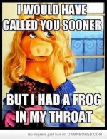 miss piggy.jpg