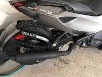 IMG_0613 [142885].jpg