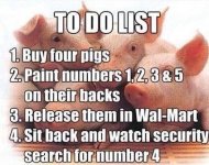 Buy 4 Pigs.jpg