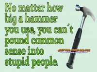 Pounding the common Sense In.jpg