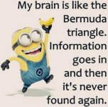 Never Found Again.jpg