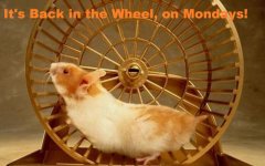 Back in the Wheel.jpg