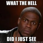 What Did I Just See.jpg