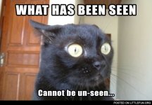 What Has Been Seen 01.jpg