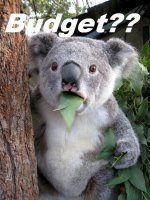 Budget.jpg