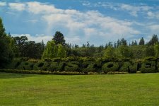 Ironstone Vineyards.jpg