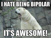 BiPolar Bear.jpg