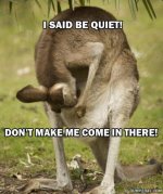 a-funny-kangaroo-keep-it-down-dont-make-me-come-in-there.jpg