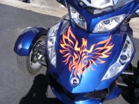 Spyder 3-11-2012 001.jpg