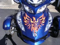 Spyder 3-11-2012 003.jpg