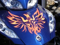 Spyder 3-11-2012 007.jpg