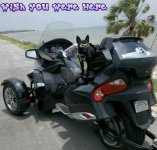 2010-07-14 13.34.37-2-picsay.jpg