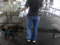 2011-07-29 SITArainStop 003.jpg