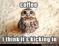 The Coffe Is Working.jpg