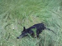 getPart-1 (11).jpg