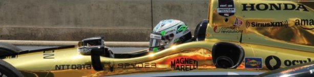 Ryan_Briscoe_-_Carb_Day_2015_-_Sarah_Stierch (1).jpg