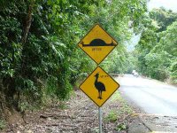 DSCF9448_Cape_Trib_Cassowary_Sign.jpg