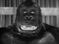 king kong 4.jpg