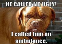 He Called Me Ugly.jpg